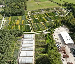 säännöllisesti leikatut koristepensaat taimitarhassa