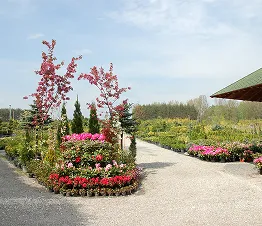 ainutlaatuinen kokoelma harvinaisia koristekasveja