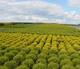 nykyaikaiset koneet kasvinhoidos käytössä